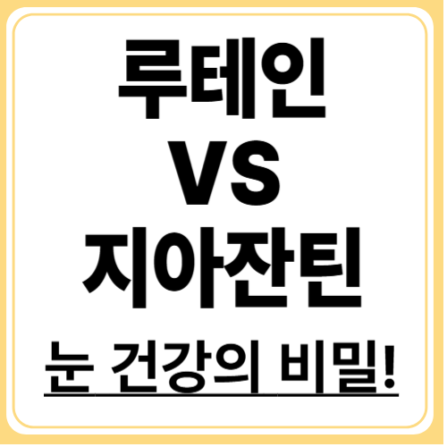 루테인 vs 지아잔틴! 눈 건강을 위한 최강 조합은?