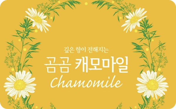 곰곰 캐모마일 차