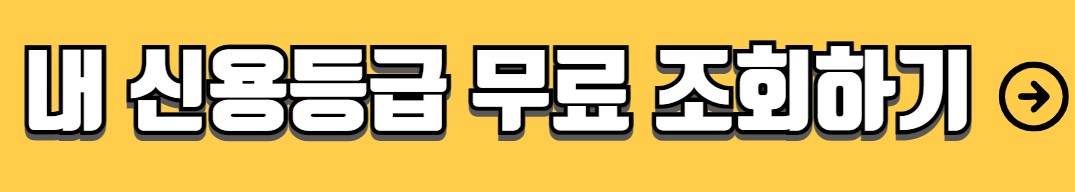 저신용자 비상금대출