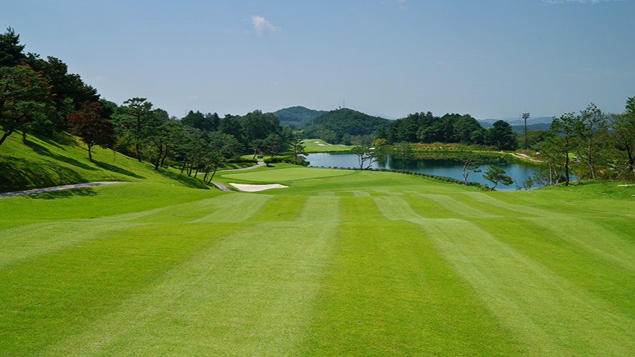 스카이밸리 컨트리클럽