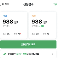 신용 점수 예시