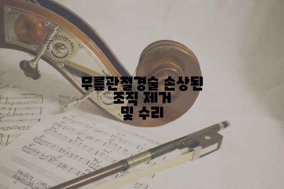 무릎관절경술 손상된 조직 제거 및 수리