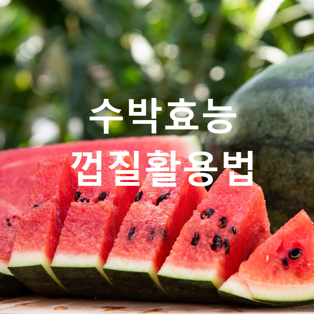 수박의효능 총정리와 껍질활용 꿀팁