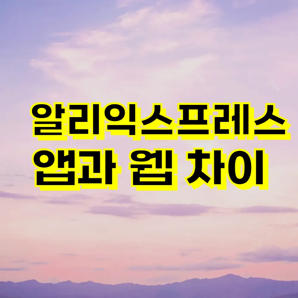 알리익스프레스 앱과 웹 차이