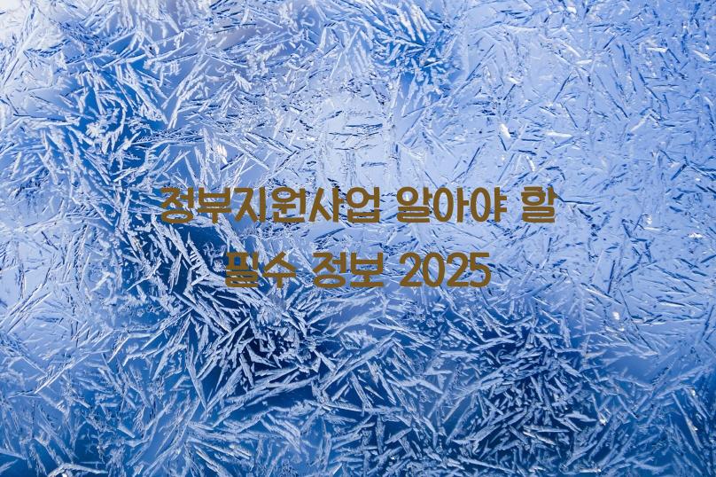 정부지원사업