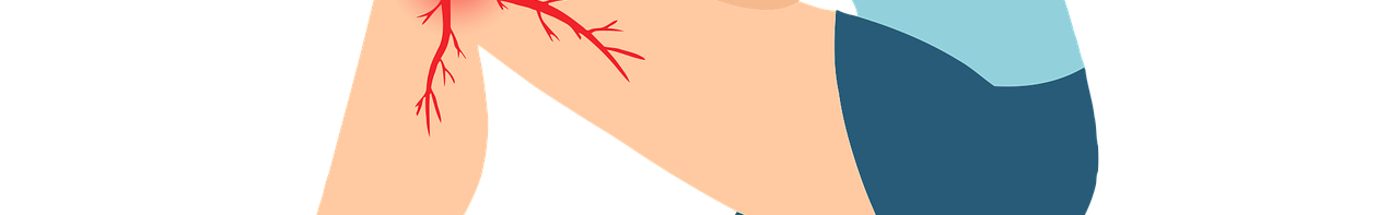 콘드로이친 효능 이미지