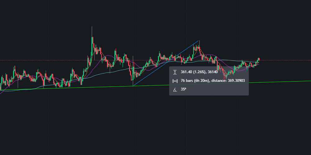 FOMO(Fear of missing out)