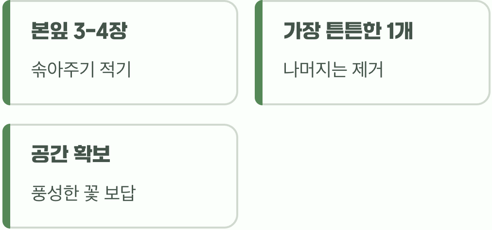 솎아주기, 건강한 성장을 위한 약속