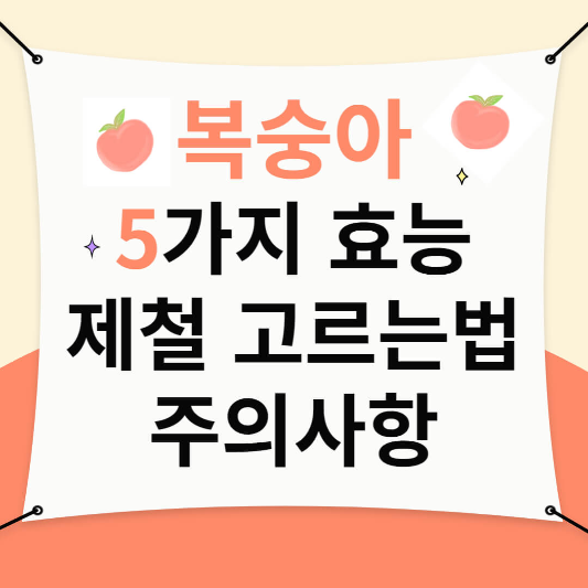 복숭아효능,제철,주의사항,고르는법