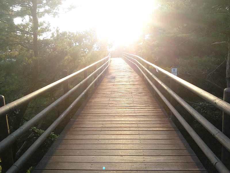 서울둘레길 8-1코스 북한산 구름정원길