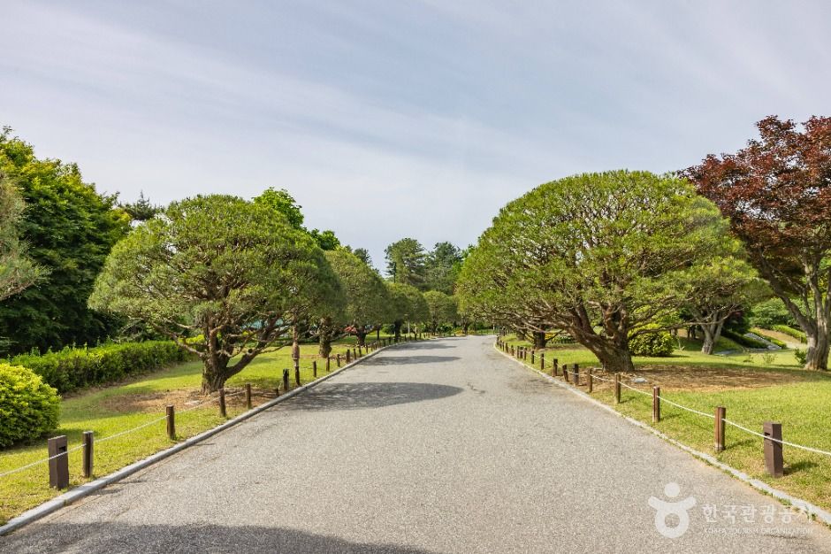 청주 가볼만한곳 베스트10