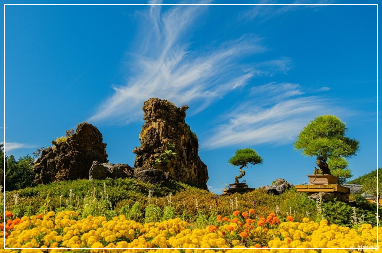 양구 가볼만한곳 베스트10 양구수목원