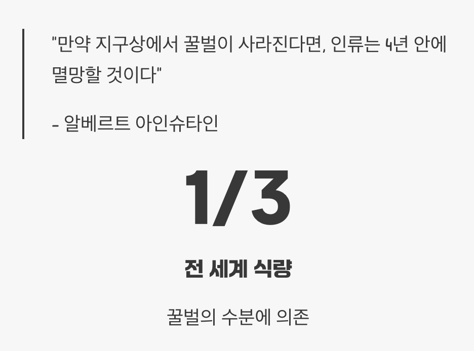 꿀벌&amp;#44; 세상에서 가장 중요한 일꾼