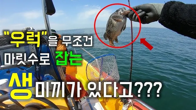 우럭낚시 선상 초보 수중여 포인트 채비 엉킴 줄이는 정리법_1