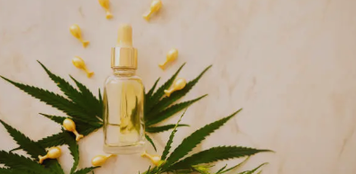 CBD(칸나비디올)오일 이미지