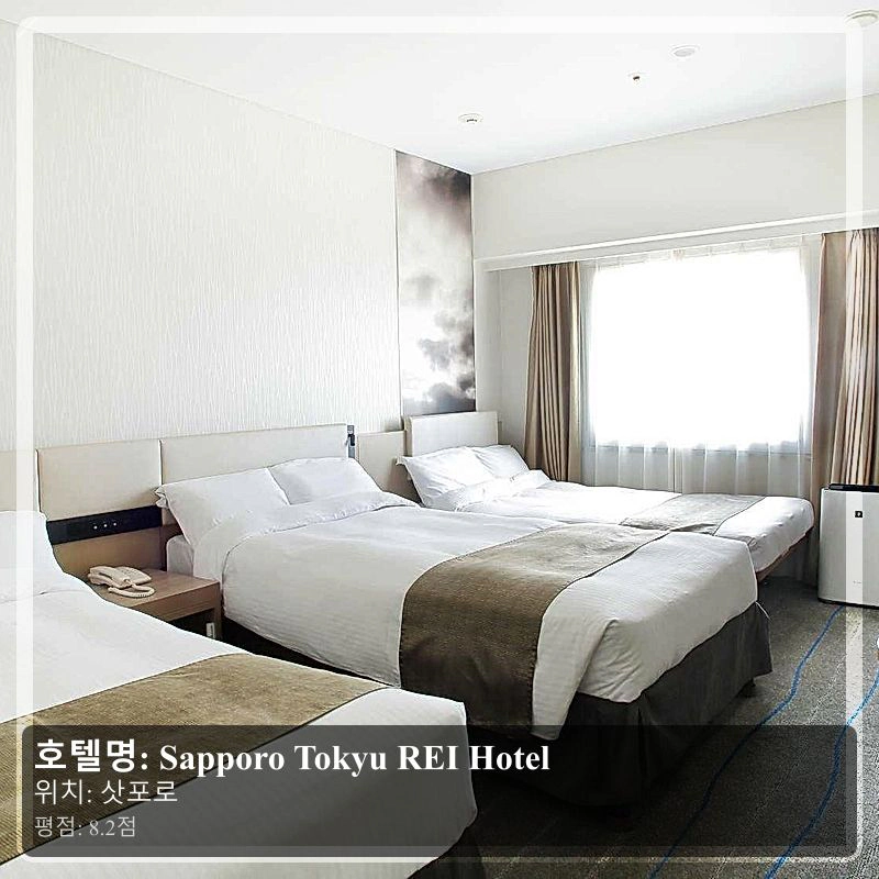 Sapporo Tokyu REI Hotel_6