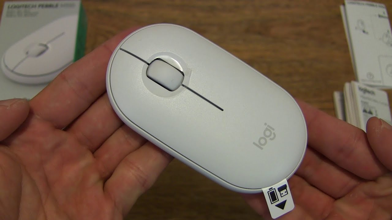 로지텍 Pebble M350