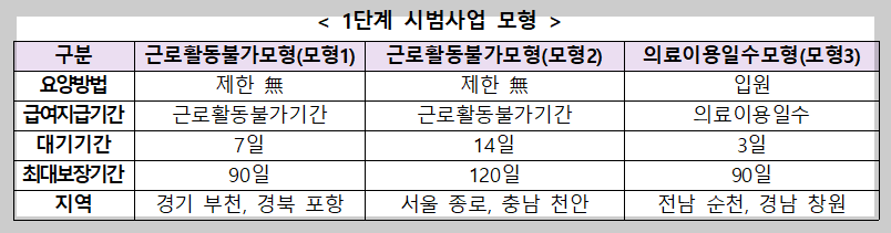 1단계 시범사업 모형