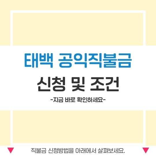 태백 공익직불금 신청