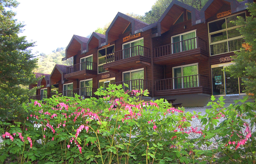 미천골 자연휴양림 이미지