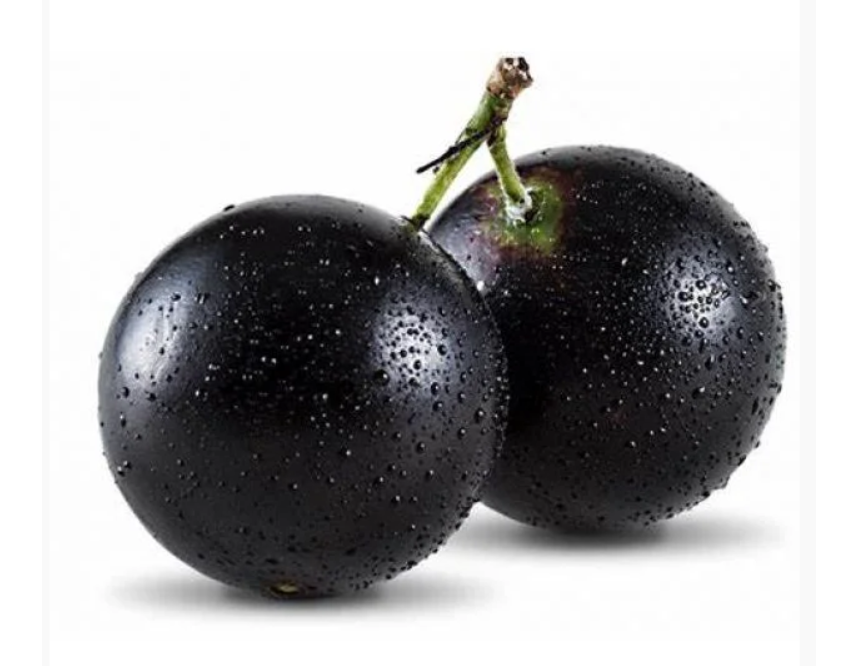 자보티카바 섭취 시 주의사항(부작용)