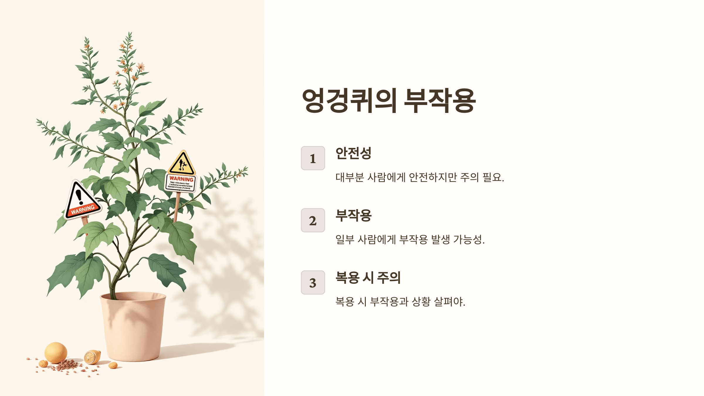 엉겅퀴와 관련된 사진입니다.