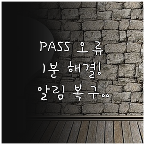 PASS 본인인증 앱 실행 오류와 푸..