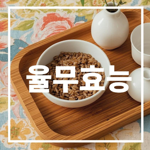 율무 효능