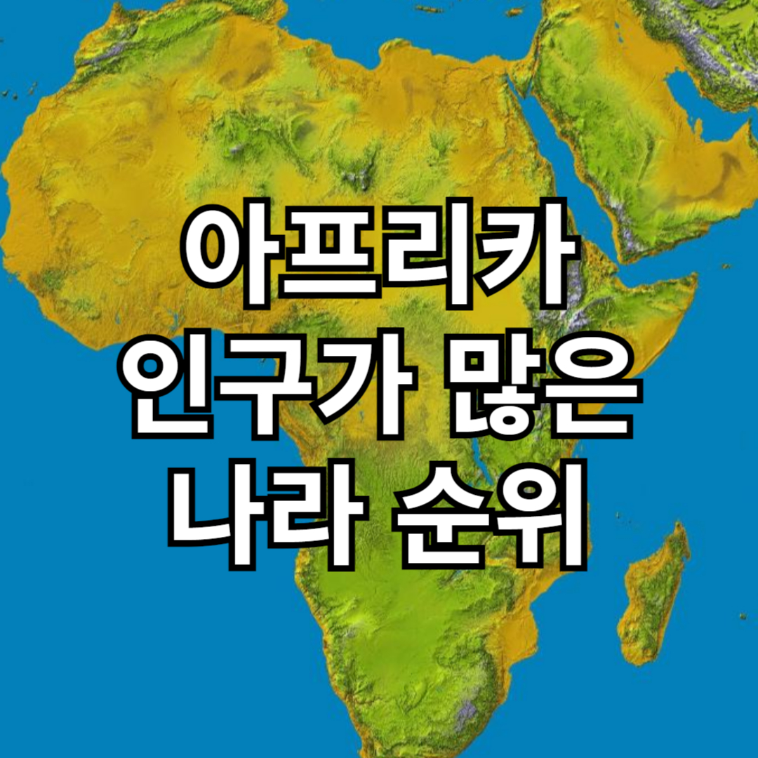 아프리카 인구가 많은 나라