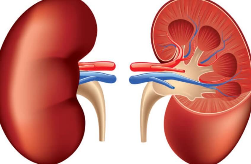 신장에좋은음식
