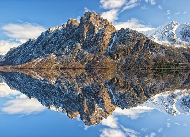 실제 의료 사례의 병원 드라마/영화 추천