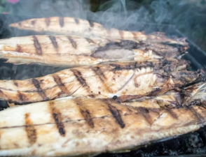 당뇨병에 좋은 음식 영양제 식단