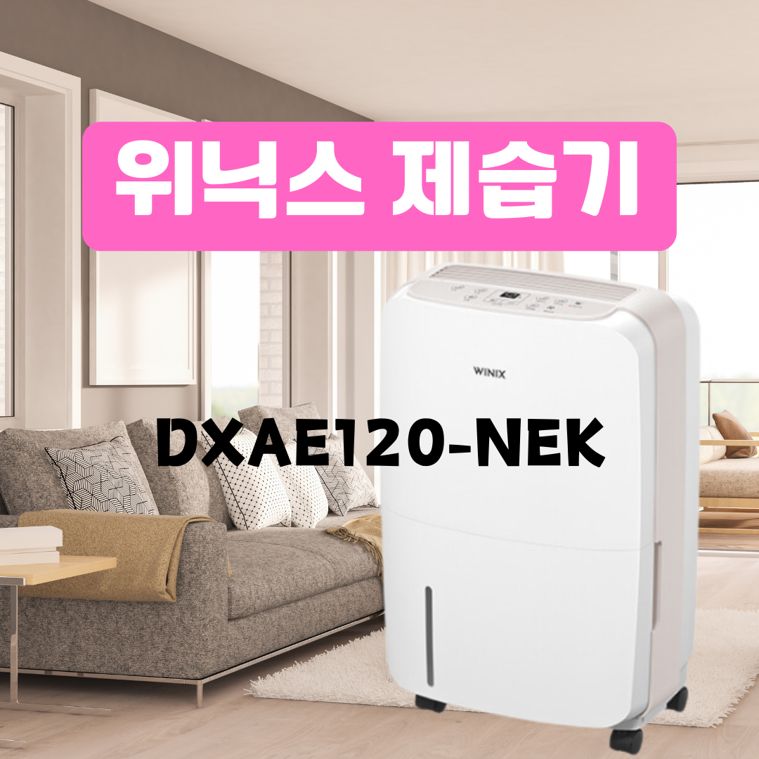 위닉스 제습기 DXAE120-NEK