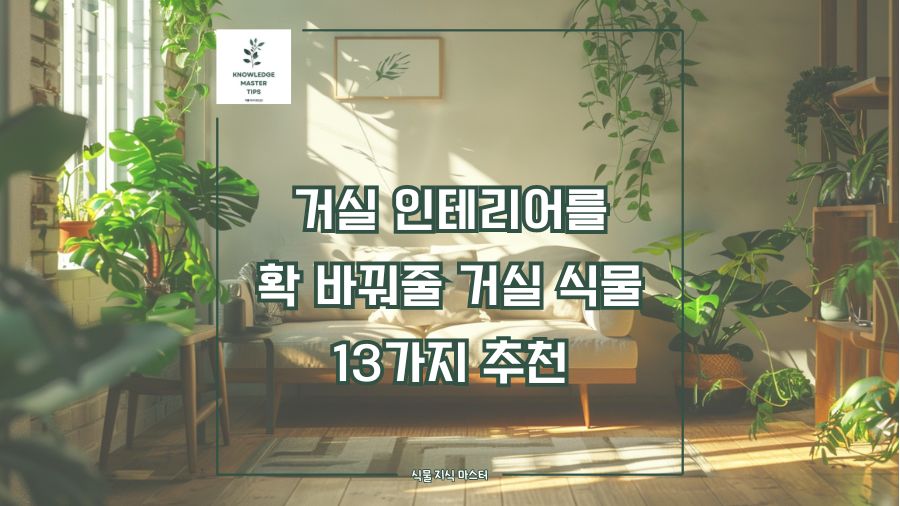 거실 인테리어를 확 바꿔줄 거실 식물 13가지 추천