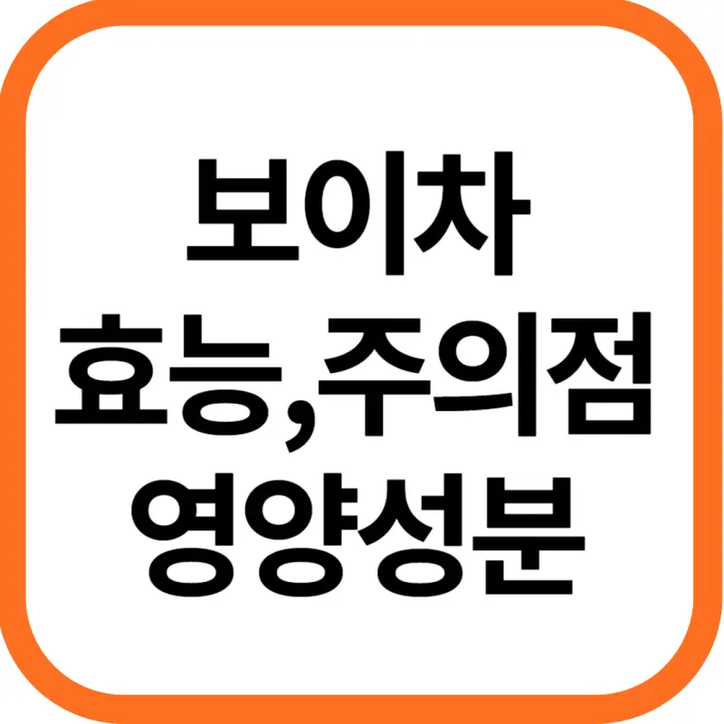 보이차 효능 및 영양성분