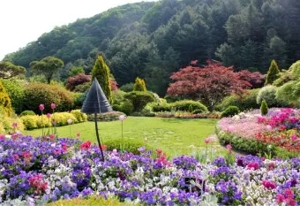 경기도 봄 여행지 추천 10곳 완벽 코스 가이드북_4