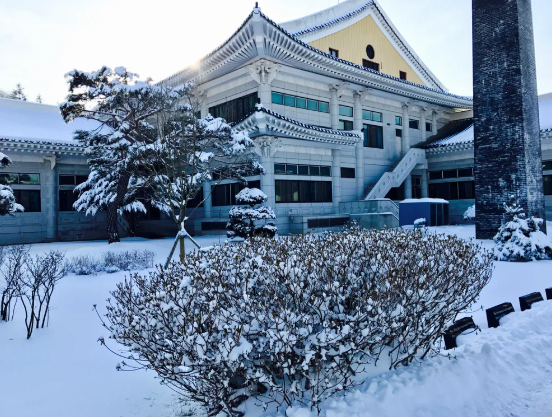 민족사관 고등학교 경쟁률,학비,입결 최신 정리