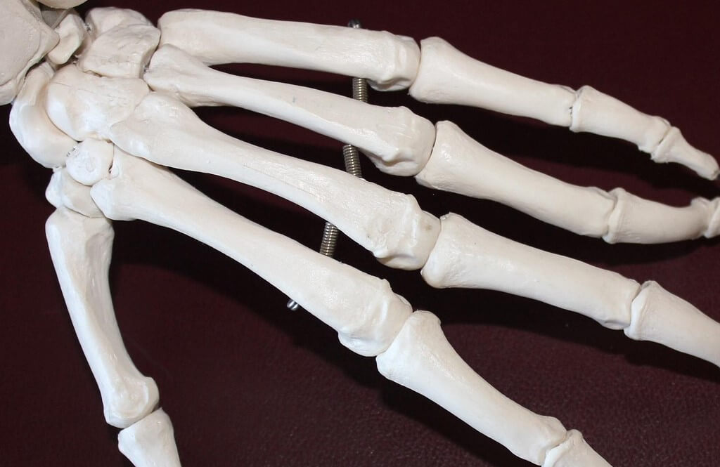 역류성 식도염 증상 이것만 알면 끝