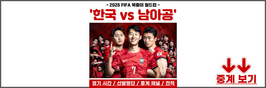 남아공전