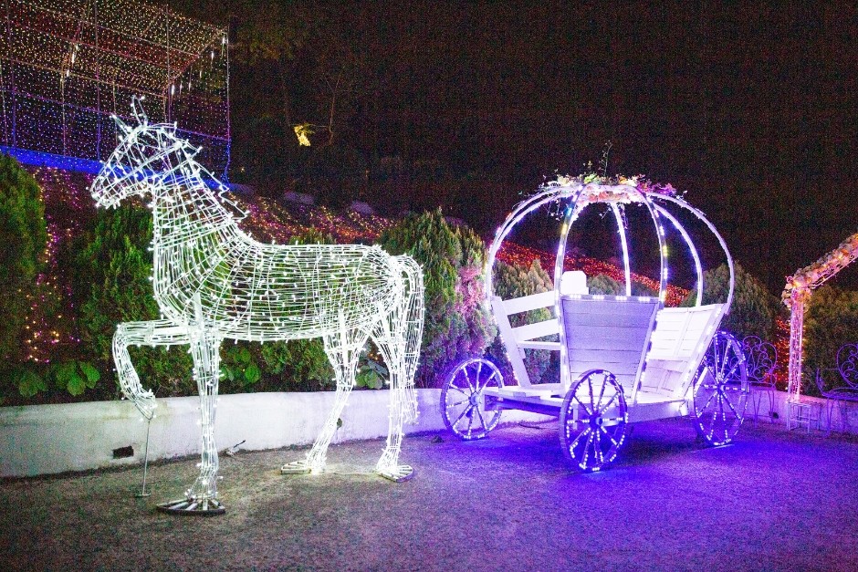 청도 프로방스 빛축제: 야경과 한우·감 디저트