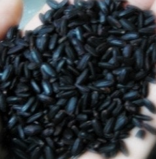 흑미 효능 놀라운 10가지 부작용 칼로리 고르는법