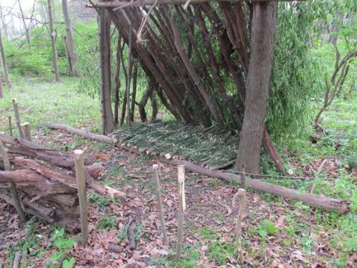 매트 없이 잠자기 실험 실패