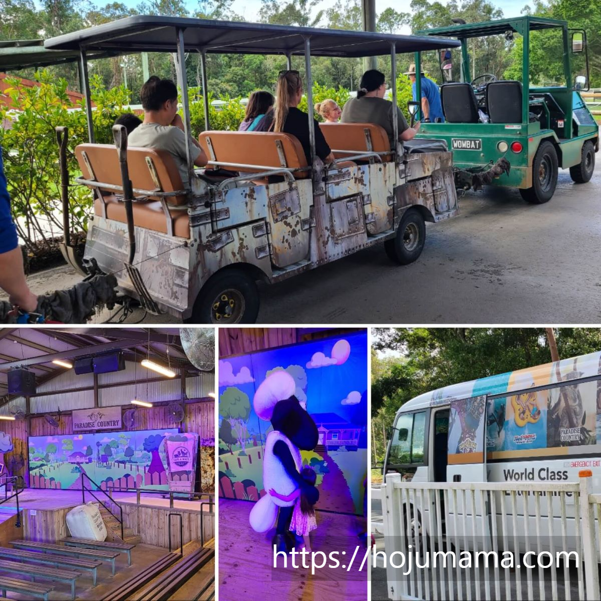 파라다이스 컨트리 활동 콜라지