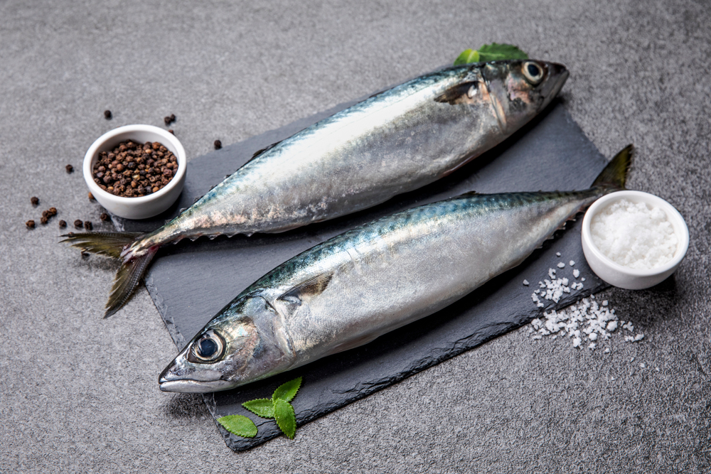 단백질 많은 음식 8가지