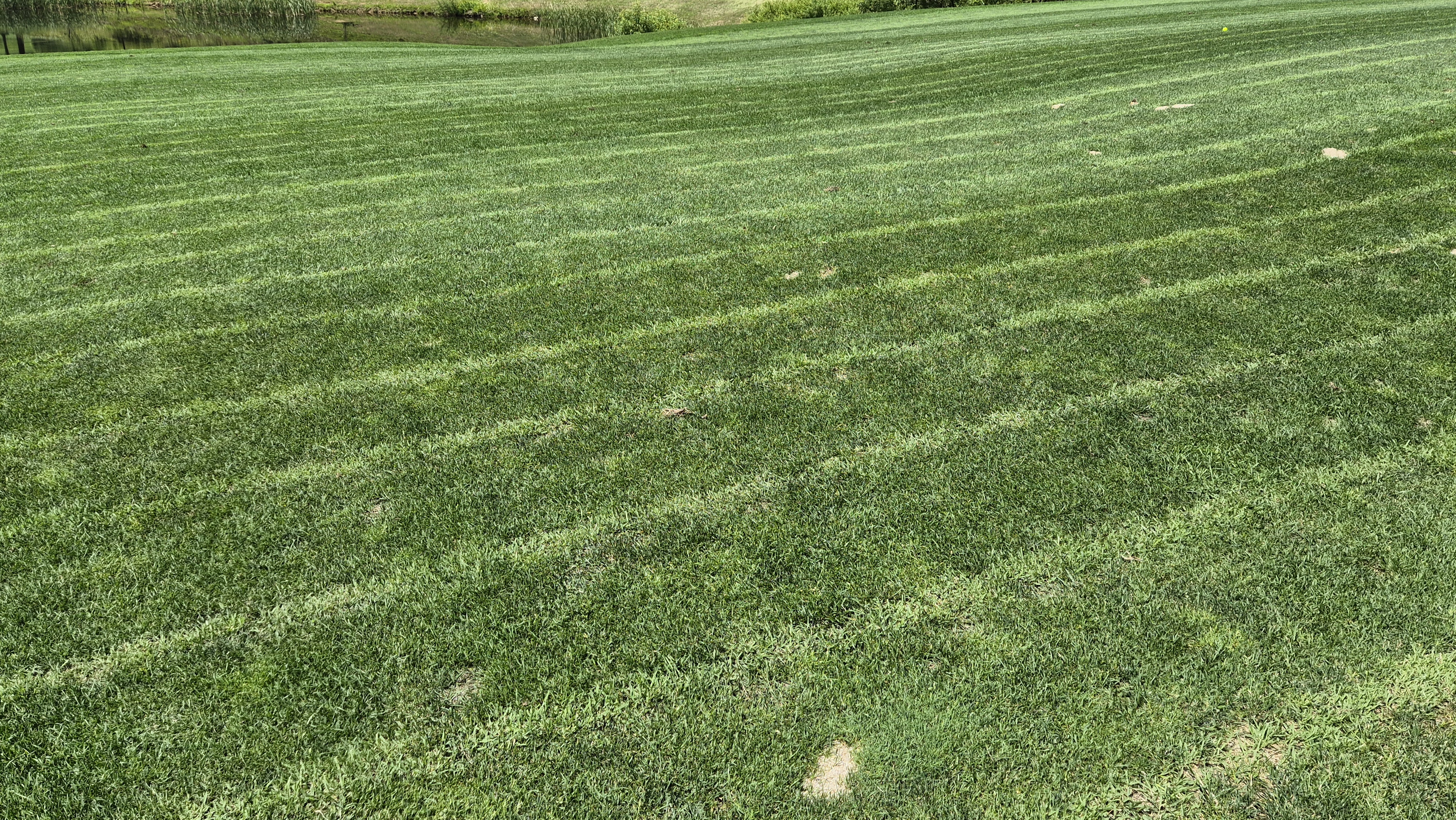 샤인데일cc 라운드 후기