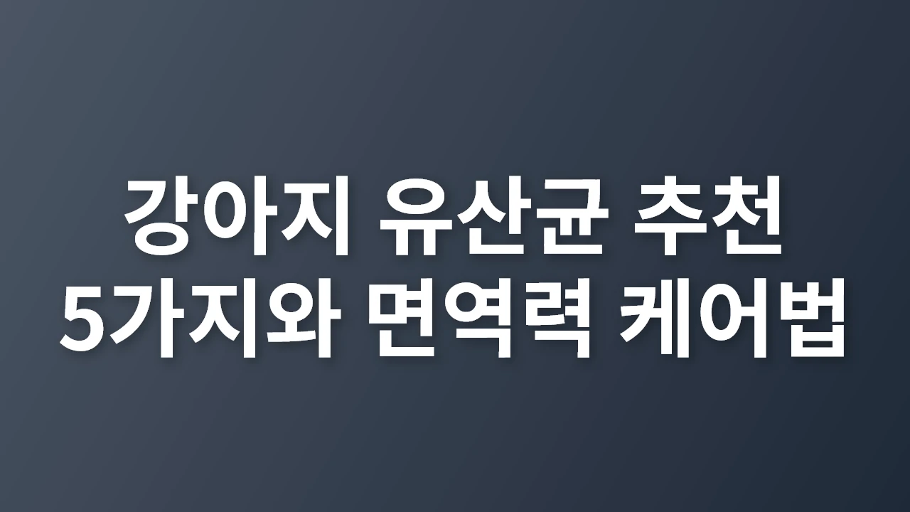 강아지 유산균 추천 5가지와 면역력 케어법_썸네일