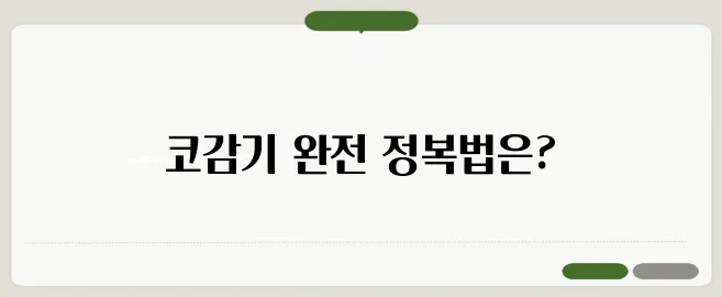 코감기 빨리 낫는 법 효과적인 치료법
