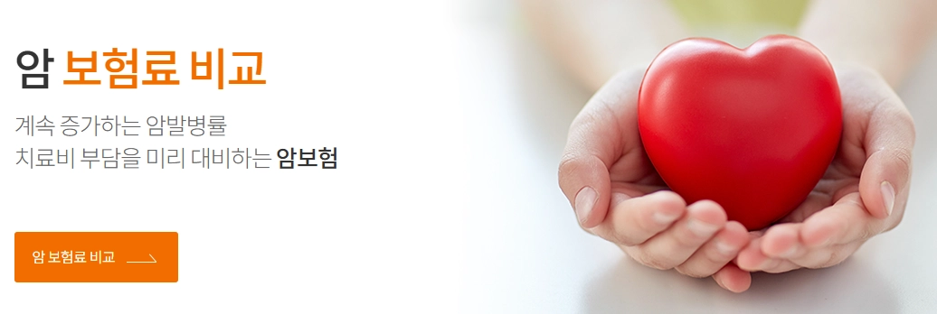 생애 첫 암보험 상품 비교