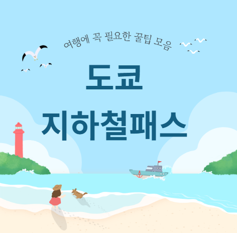 도쿄 지하철 패스
