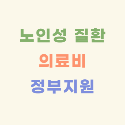 노인성-질환-의료비-정부-지원